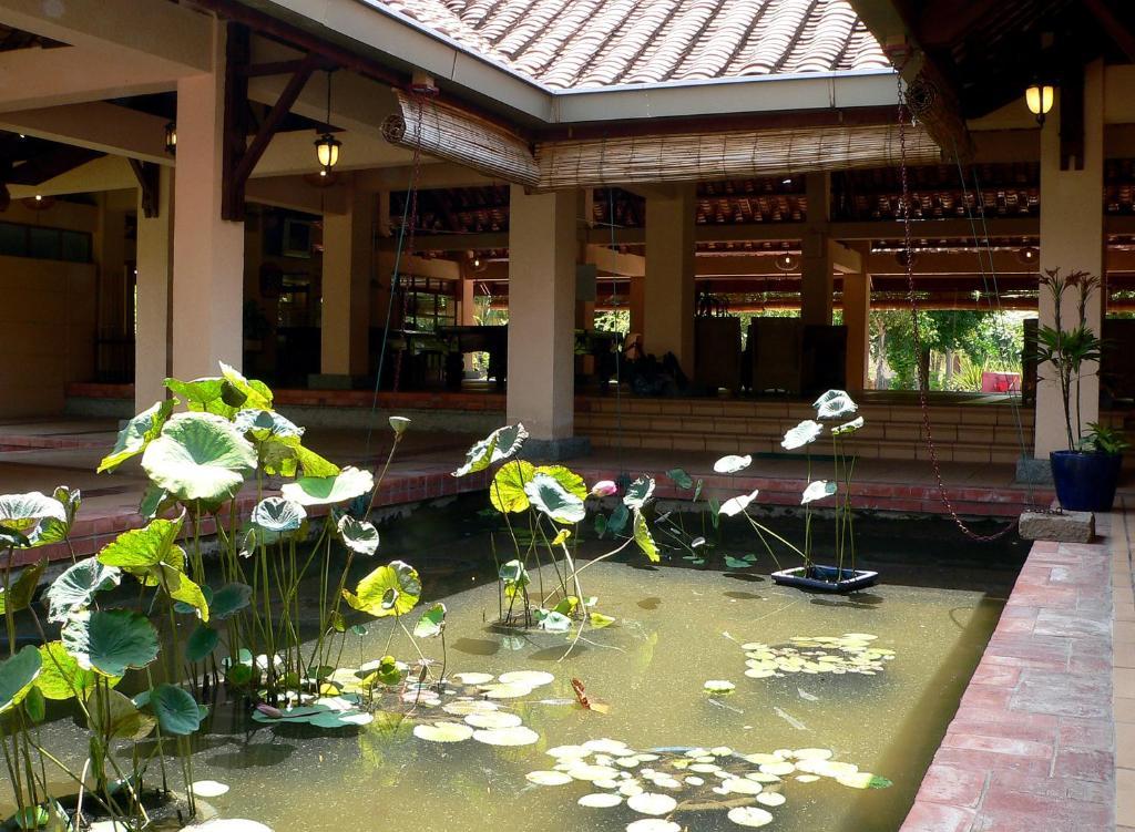 Can Gio Resort Лонгхай Экстерьер фото